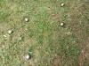 Venkovní aktivity - Petanque v parku