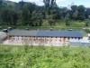 Výlet a venčení pejska - pejsci, venčení, procházka