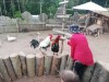 FARMAPARK - :-)