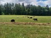 FARMAPARK - :-)