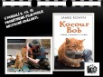 Kocour BOB- film podle pravdy